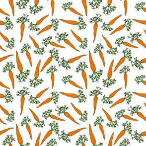 Carrots Small White