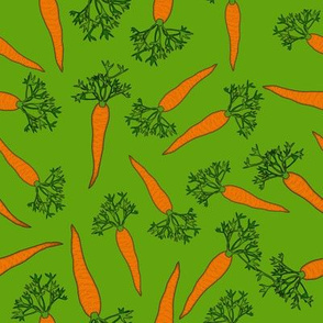 Carrots Medium Summer Green