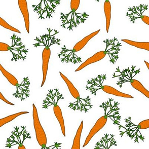 Carrots Medium White