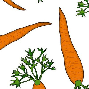 Carrots Large White