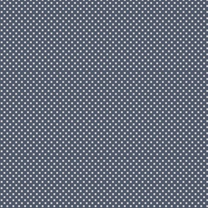 Dark Blue Fabric with Grey Squares