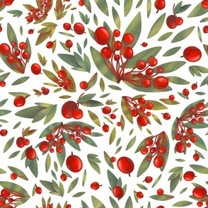 Red berries and green leaves on a white background