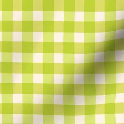 Groovy Gingham - Lime