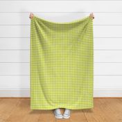 Groovy Gingham - Lime