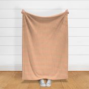 Groovy Gingham - Terracotta