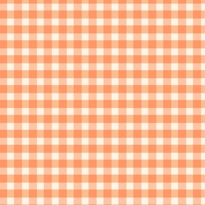 Groovy Gingham - Peach