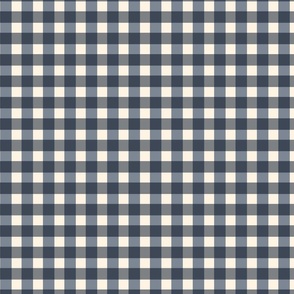 Groovy Gingham - Classy Navy