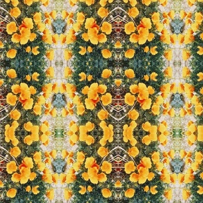 California Poppy Dreams, Tapestry