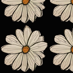 Daisy flowers