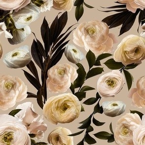 Ranunculus on Beige