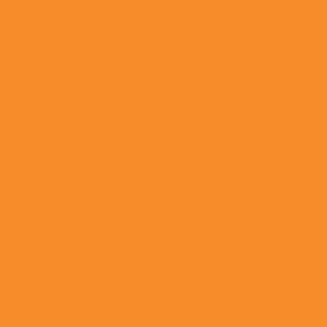 RW14. 5 - Bright Orange Solid -  hex code f68c2a
