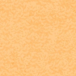 RW15.1 - Light Orange Blender with Foliage Overlay in an Even Lighter Tint- hex code  ffca8a 