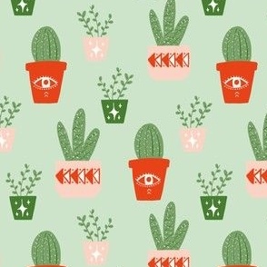 cactus pot plant christmas