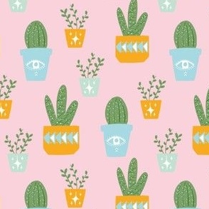  Pink Cactus pot plant 
