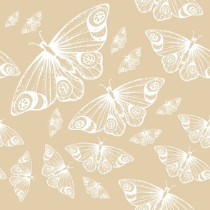 white butterflies