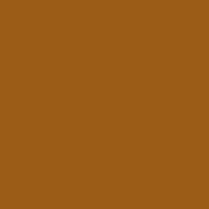 RW15.7 -  Cinnamon Brown Solid -  hex 9c5914