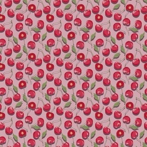 Cherry time //  Normal scale // Pink Background // Stone Fruits // Red Cherries // Suumer Fruits 