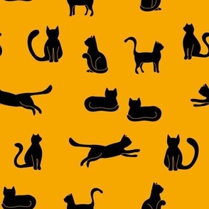 Black Cats Medium Yellow