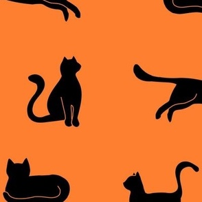 Black Cats Large Orange