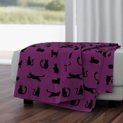 Black Cats Large Purple