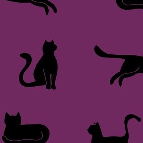 Black Cats Large Purple
