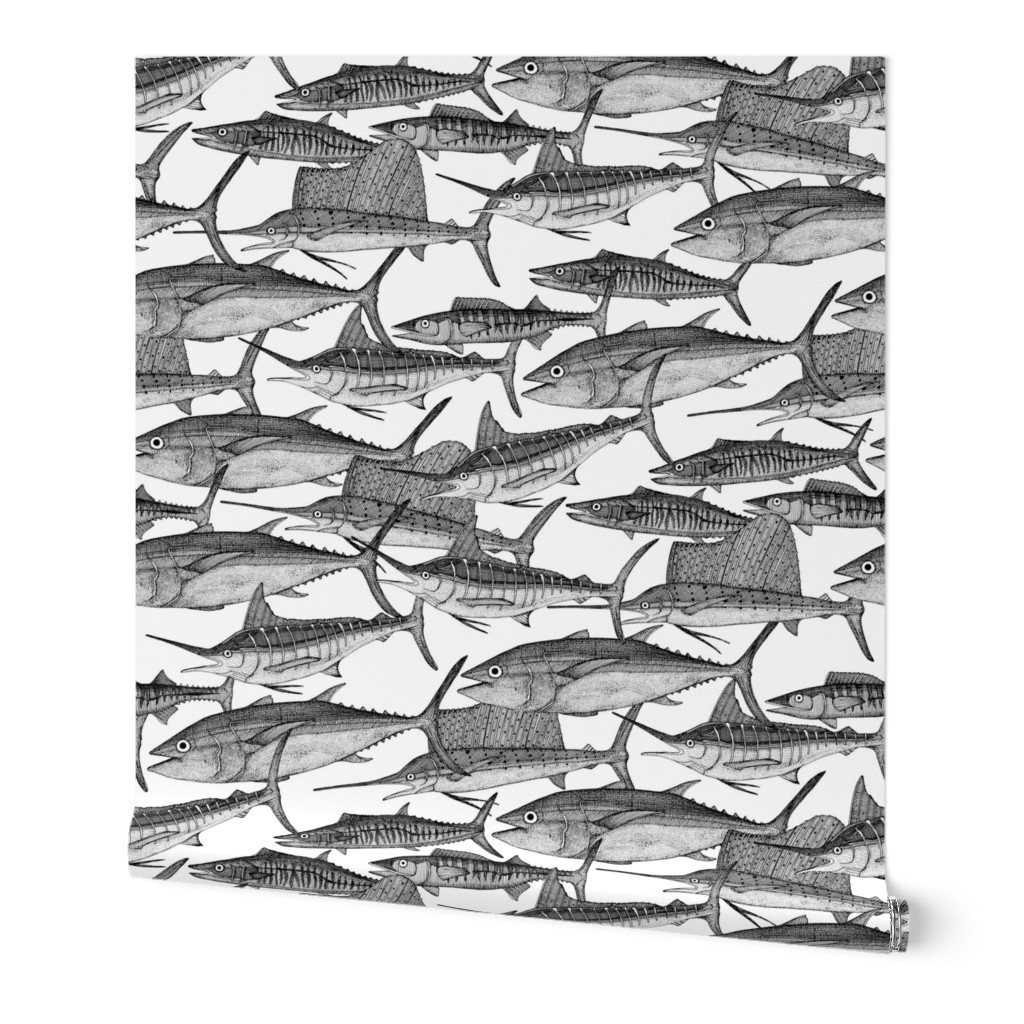 Atlantic fish black white