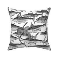 Atlantic fish black white