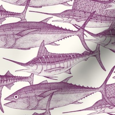 Atlantic fish purple small