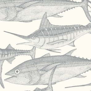 Atlantic fish silver