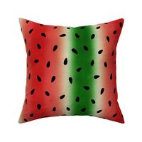 Watermelon Stripes Distressed - large scale