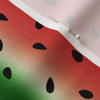 Watermelon Stripes Distressed - medium scale