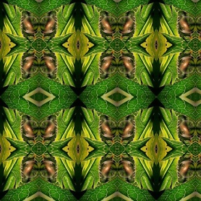 ABSTRACT WILD LETTUCE