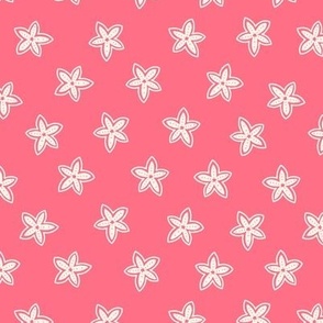 Starfish cartoon pink 