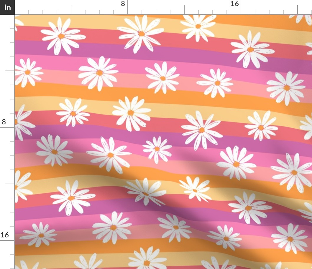 Rainbow Stripe Daisy Pinks - large scale