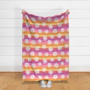 Rainbow Stripe Daisy Pinks - extra large scale