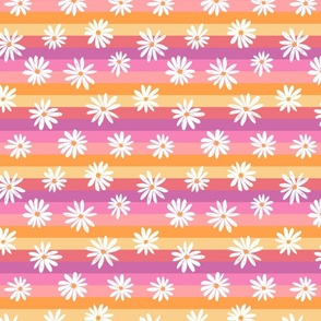 Rainbow Stripe Daisy Pinks - medium scale