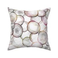 Organic Abstract Moon Jellies, Neutral Tones on White