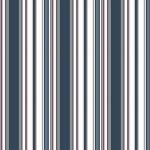 winter  stripes
