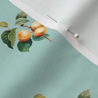 Apricots v2 Duckegg // standard