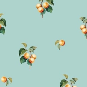 Apricots v2 Duckegg // standard