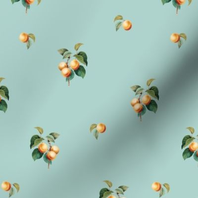 Apricots v2 Duckegg // small