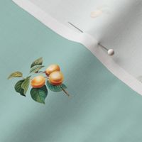 Apricots v2 Duckegg // small