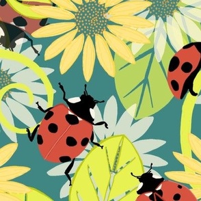 ladybirds