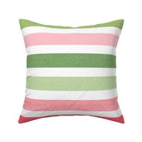 Large Scale Coral Pink and Green Stripes Scandi Coordinate on White