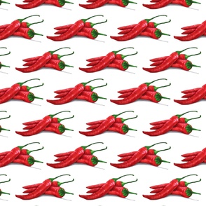 Chile de Arbol (Tree Chili) Pattern