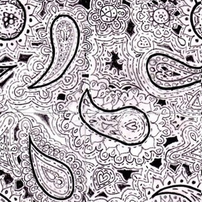 monochrome paisley