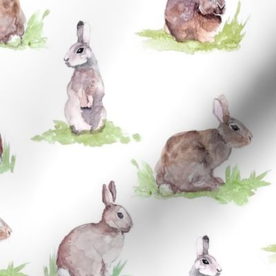 Watercolor Bunny Rabbits on White