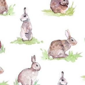 Watercolor Bunny Rabbits on White