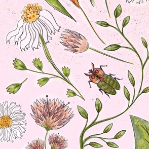 Wildflowers on a pale pink background