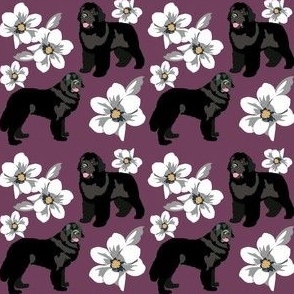 Newfoundland Black  Dogs and magnolia